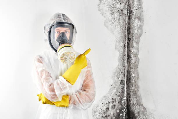 Best Biohazard Mold Removal  in Norwalk, OH